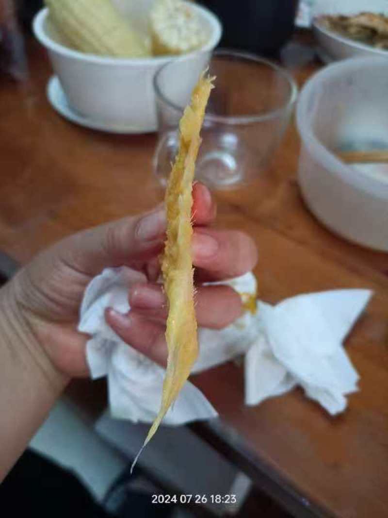 广东云浮金煌芒