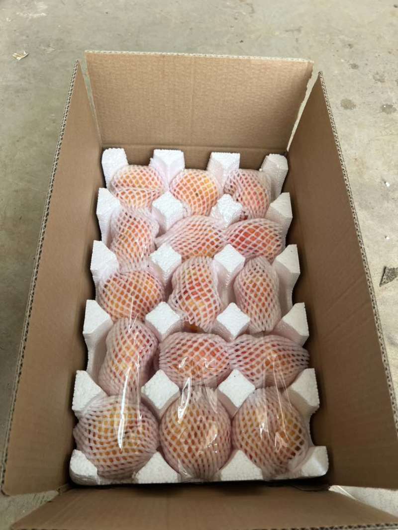 寻找油盘桃代理商一件代发蟠桃供应链***********