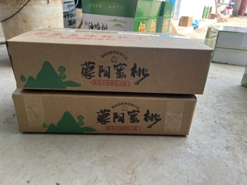 寻找油盘桃代理商一件代发蟠桃供应链***********