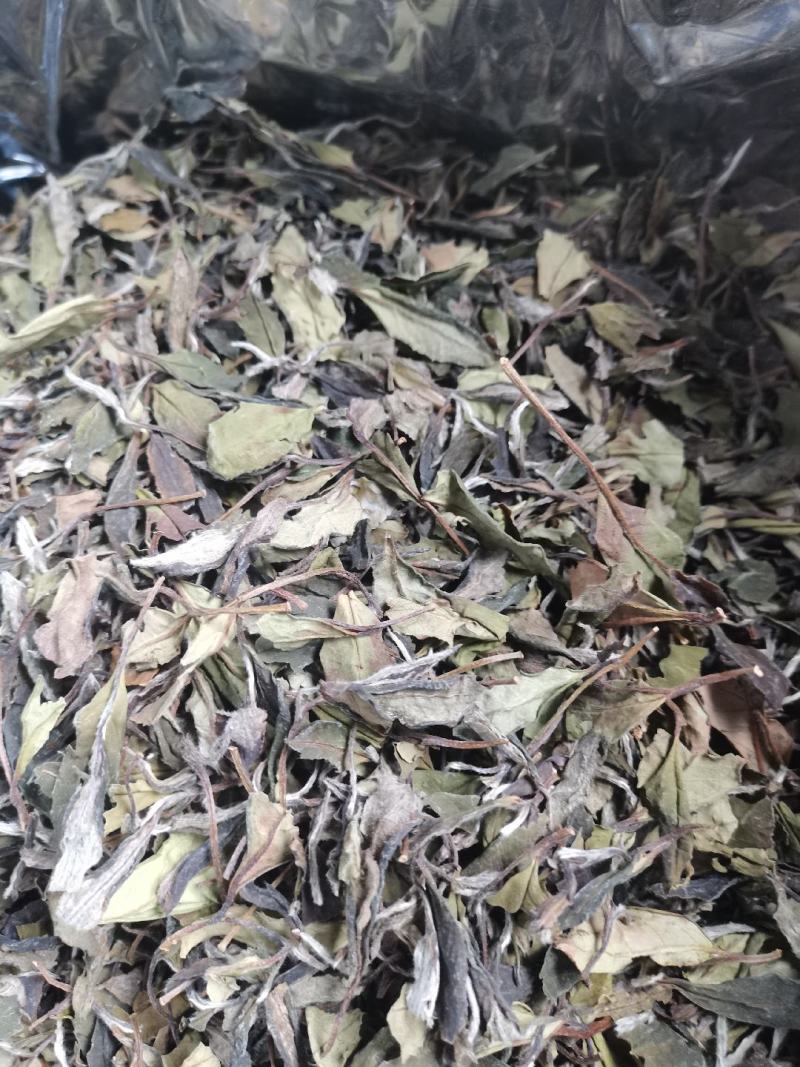 福鼎白茶21年寿眉12000金