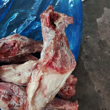 整根后腿骨，带肉多