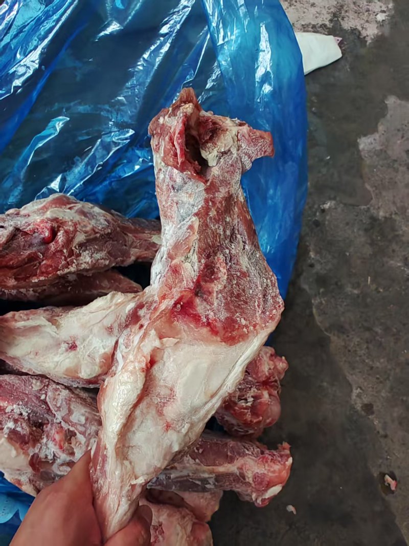 整根后腿骨，带肉多