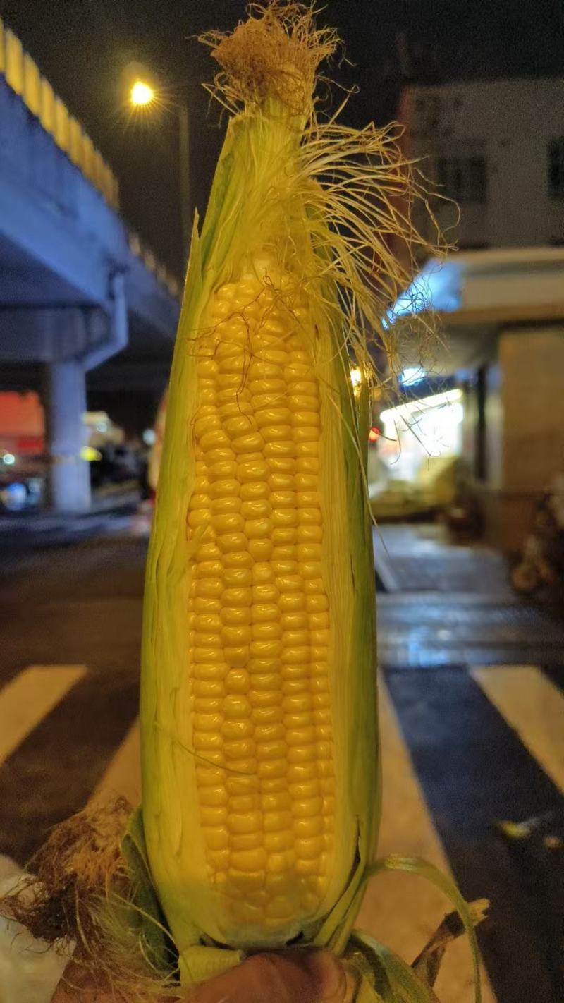 水果，玉米，糯玉米