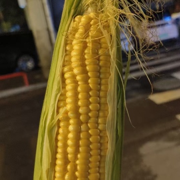 水果，玉米，糯玉米