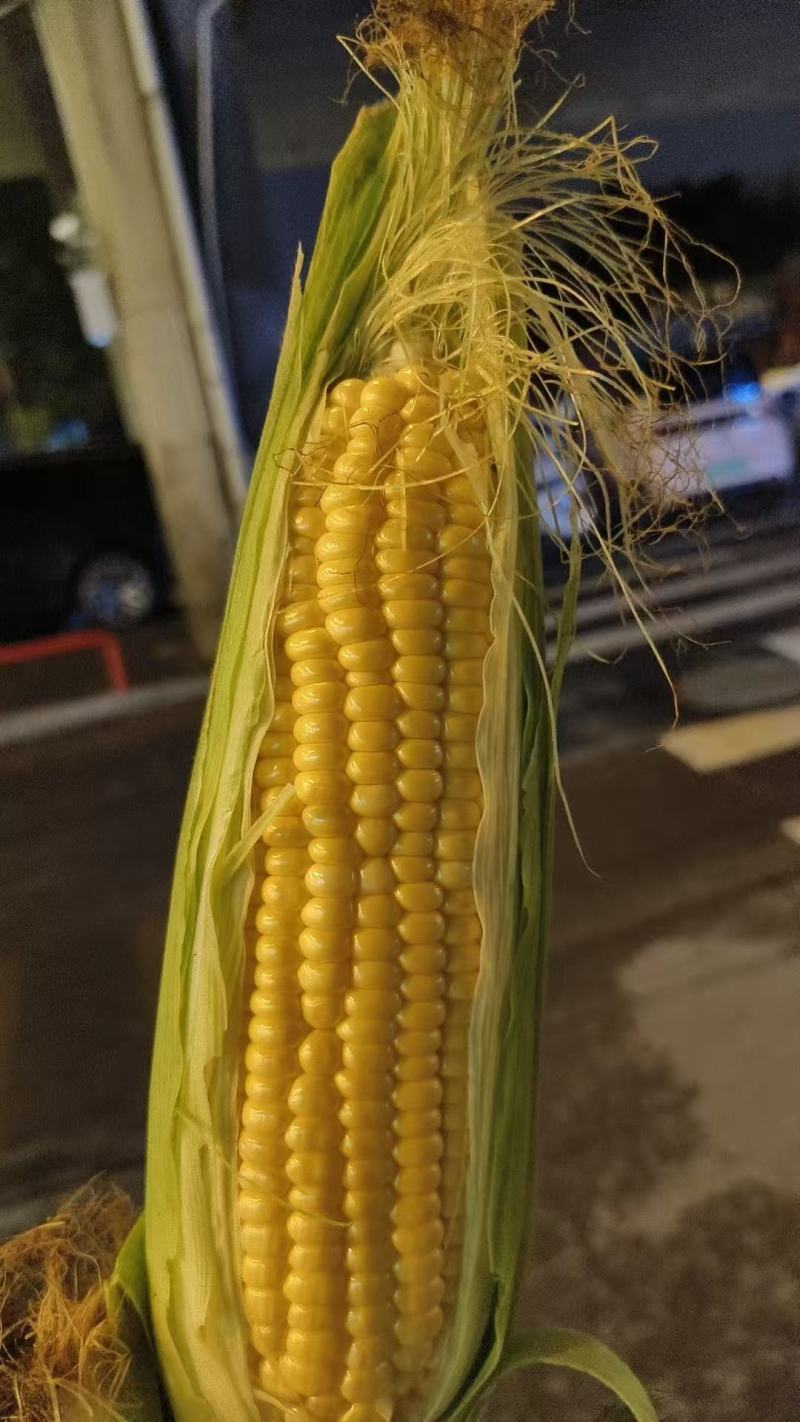 水果，玉米，糯玉米