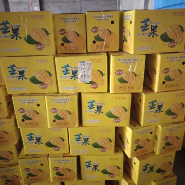 400克起，上不封顶，支持一件代发