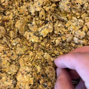 全脂不提油豆饼