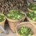 干青花椒，鲜青花椒，