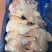 种鸡排腿