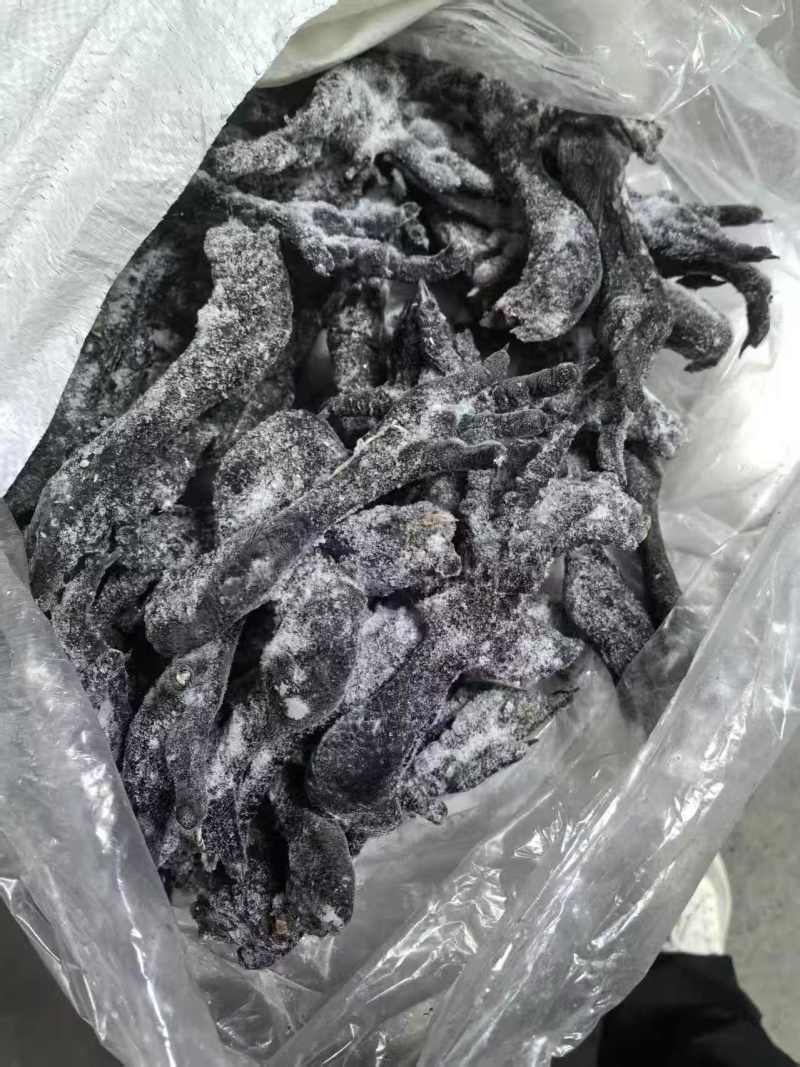 乌鸡爪