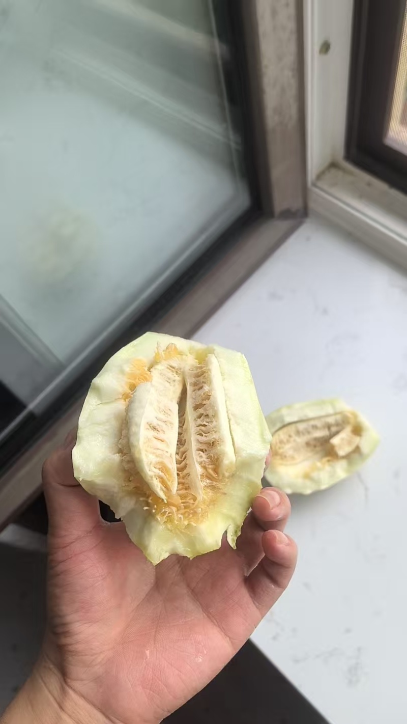甜瓜