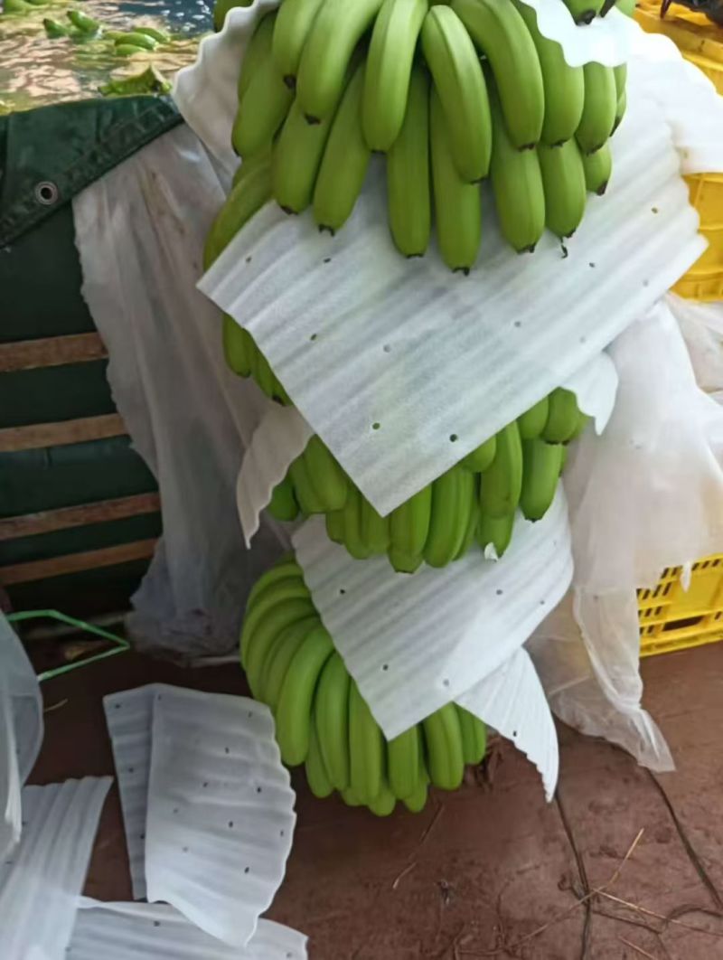 香蕉