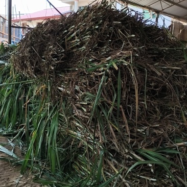 牧草圆包
