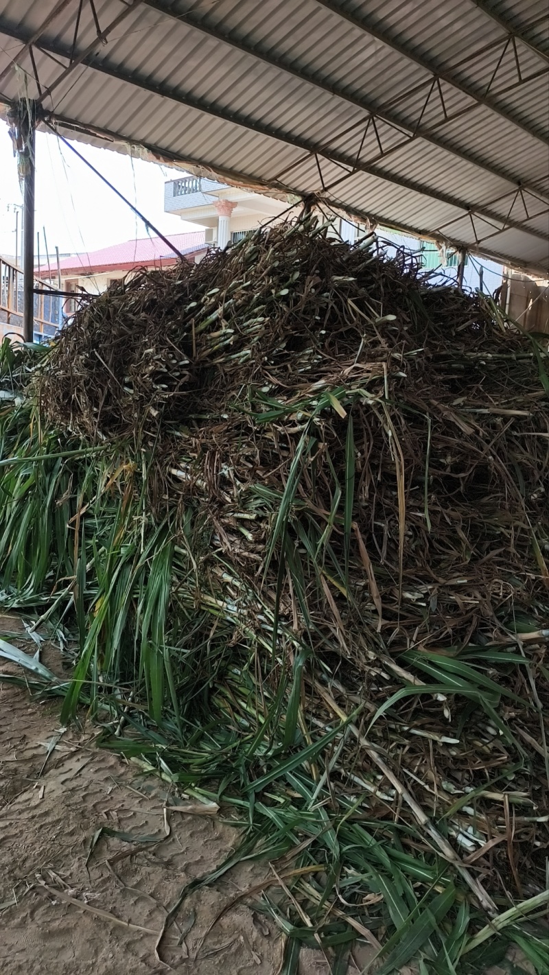 牧草圆包