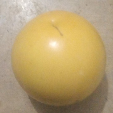 黄晶果