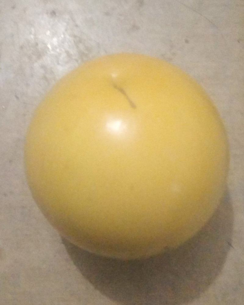 黄晶果
