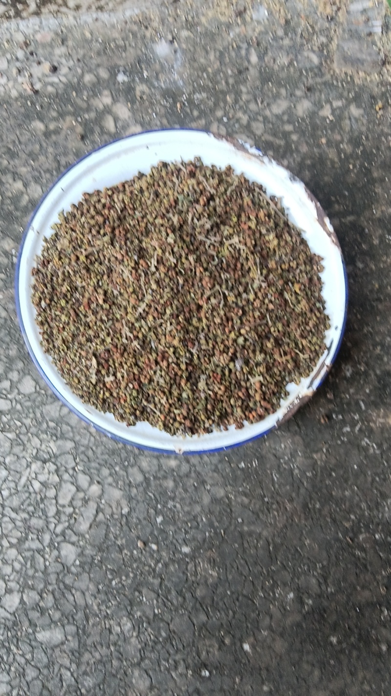 吴株萸
