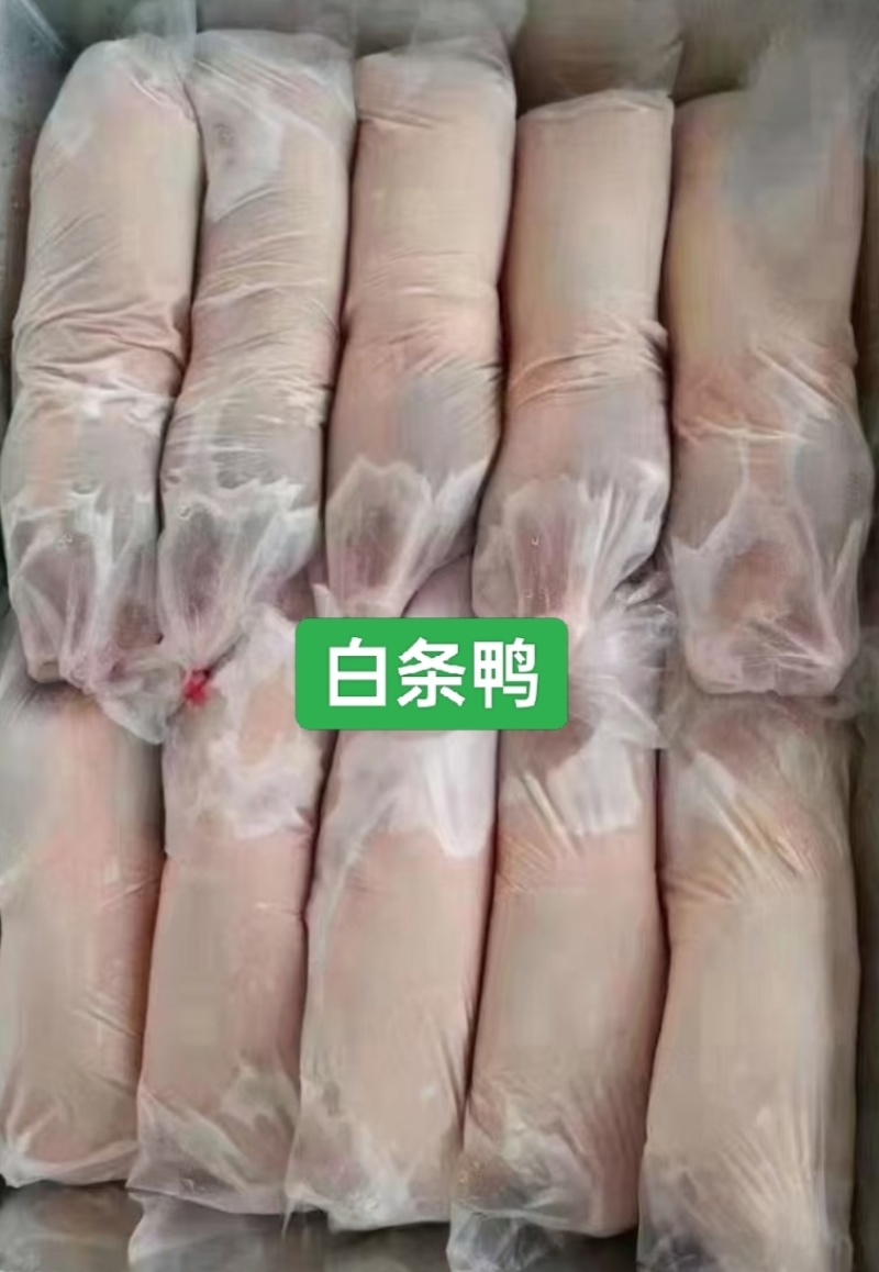 鸭产品白条鸭西装鸭900g-2600g规格齐