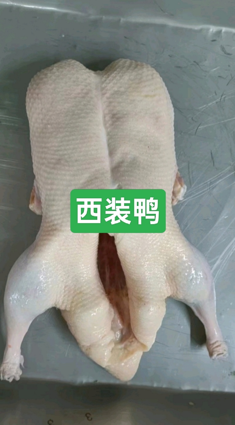 鸭产品白条鸭西装鸭900g-2600g规格齐