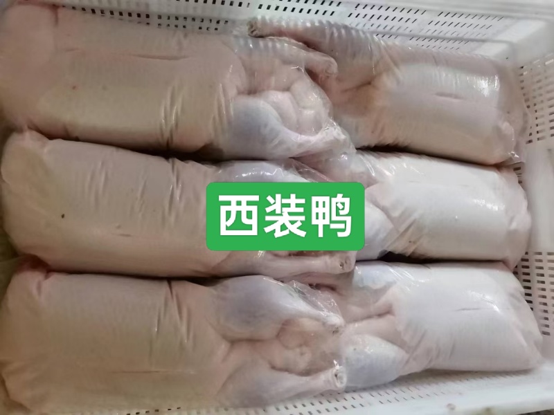 鸭产品白条鸭西装鸭900g-2600g规格齐
