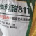 申科甜蜜水果玉米811
