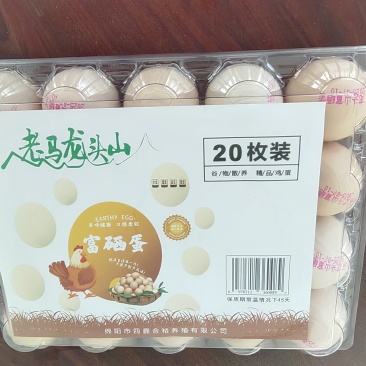 四川鸡蛋