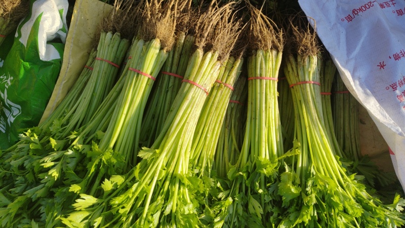 精品小香芹