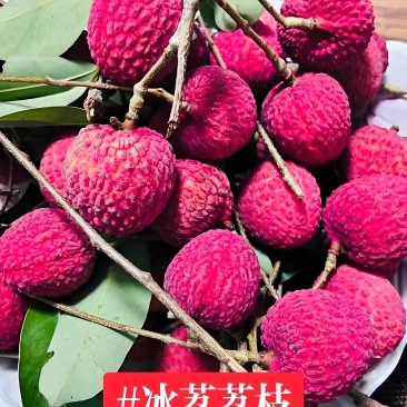 荔枝中爱马仕冰荔