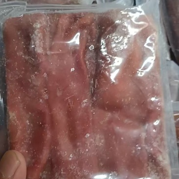 海肠