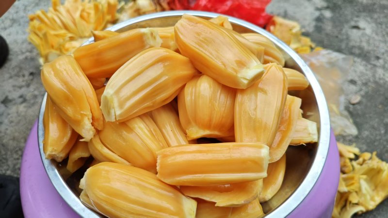 四季无胶拔甲红菠萝蜜
