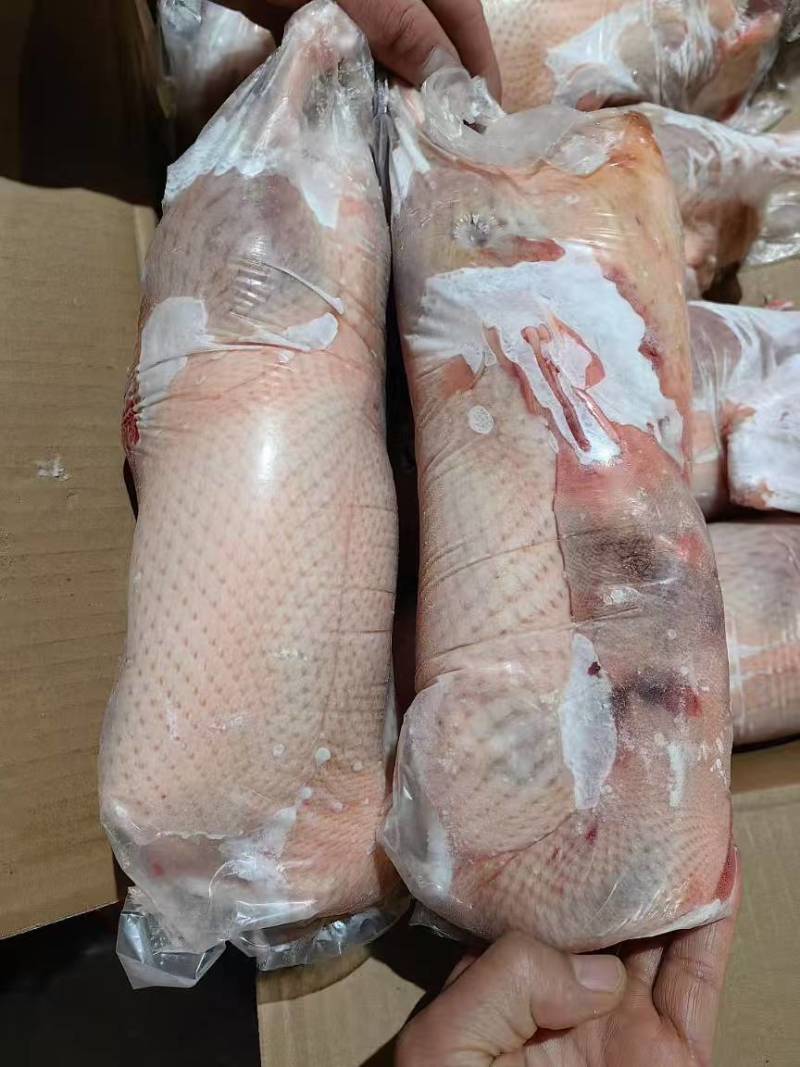 白条鸭各个规格900克一级白条鸭950克一级白条鸭