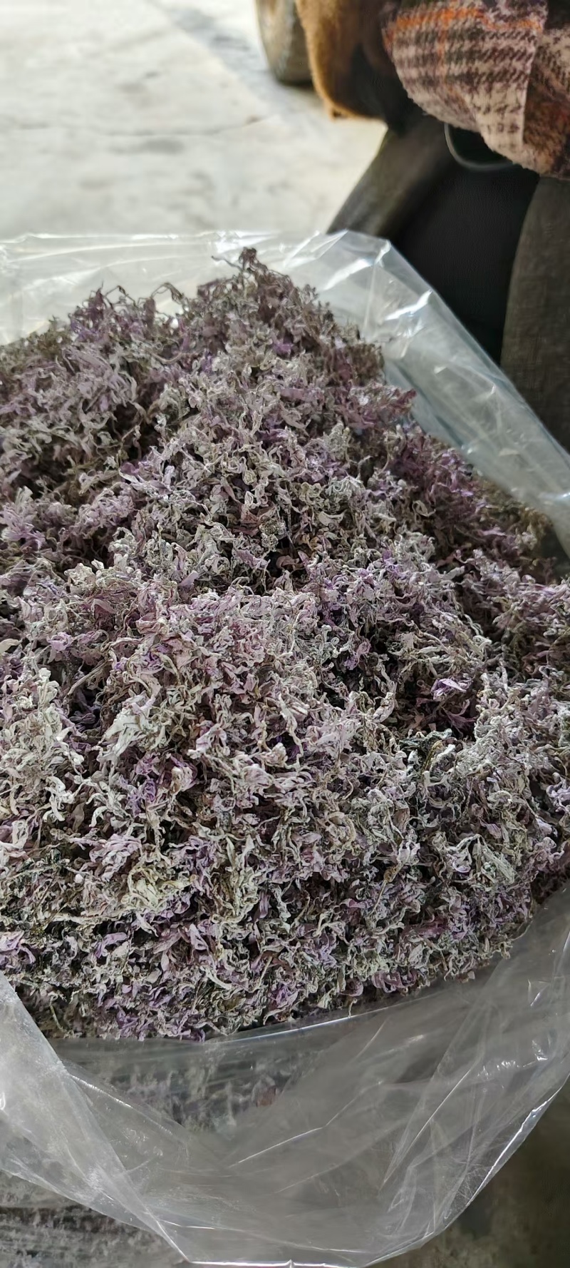 土家高山莓茶，口感回甘，