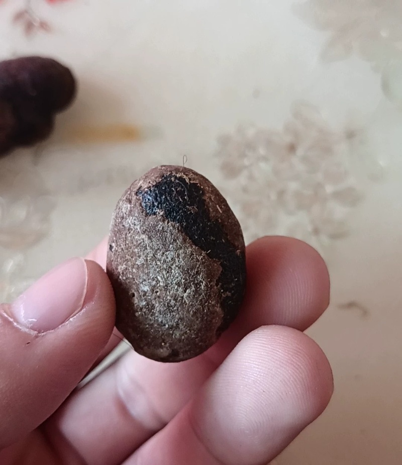羊宝，中药材，有懂的来