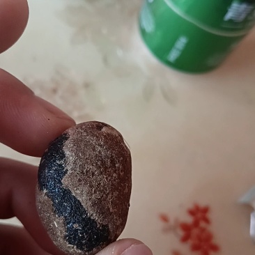 羊宝，中药材，有懂的来