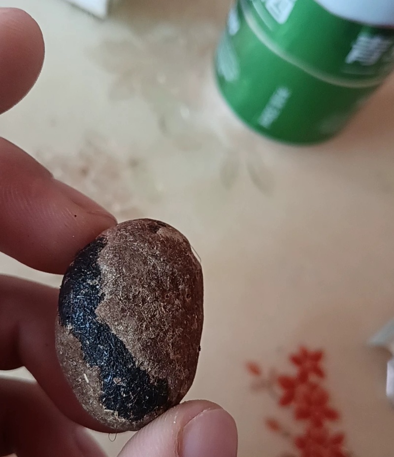 羊宝，中药材，有懂的来