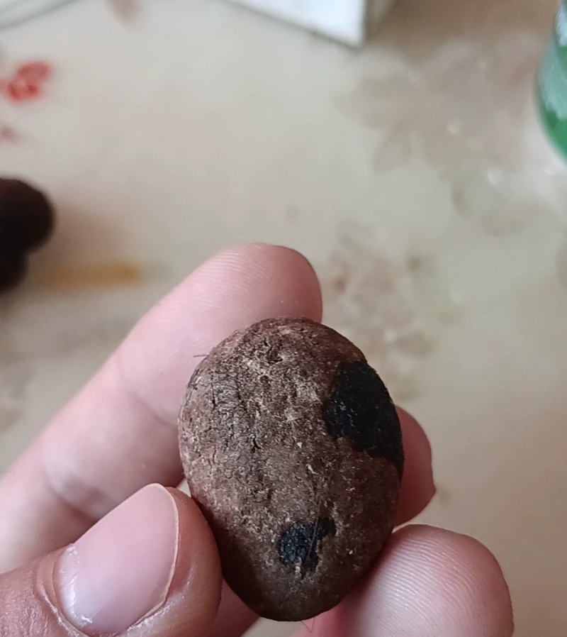 羊宝，中药材，有懂的来