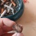 羊宝，中药材，有懂的来