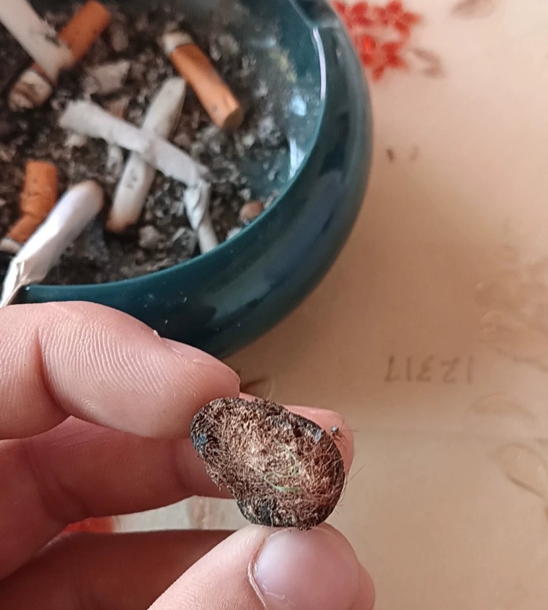羊宝，中药材，有懂的来