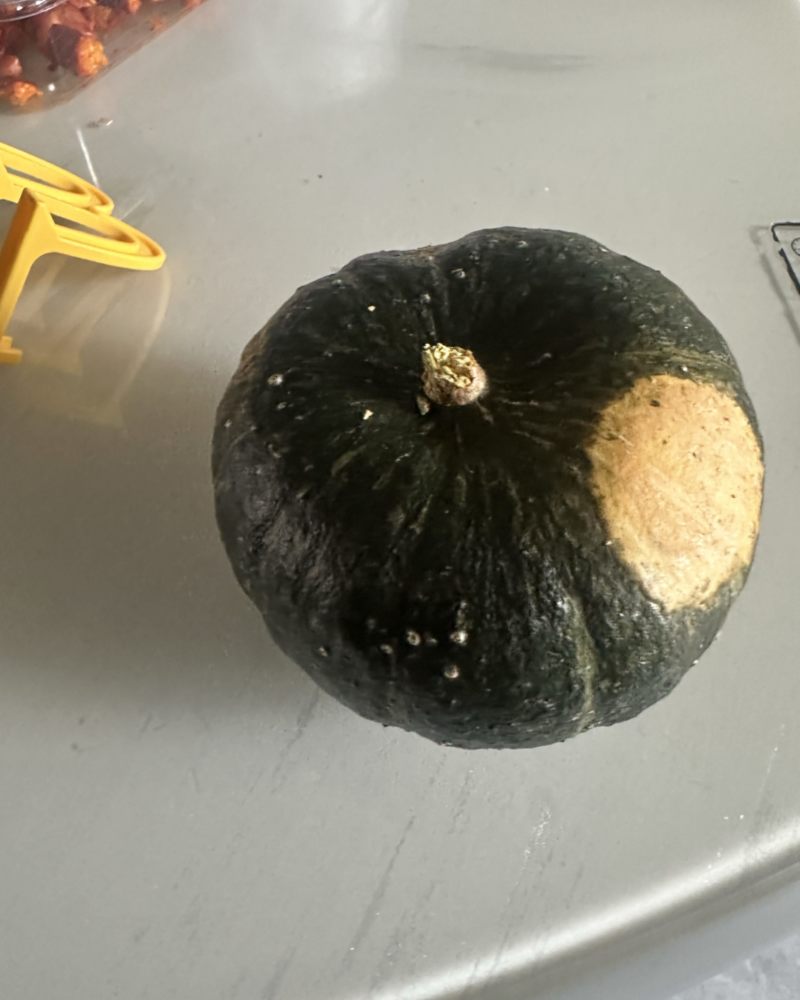 精品贝贝南瓜