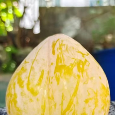 黄金奈李