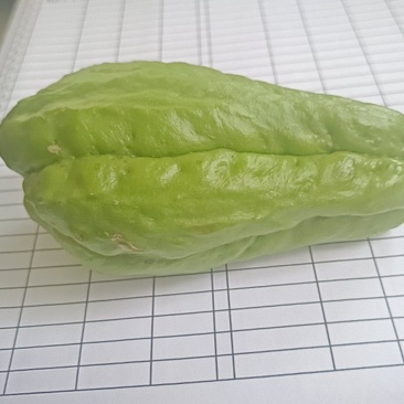云南佛手瓜