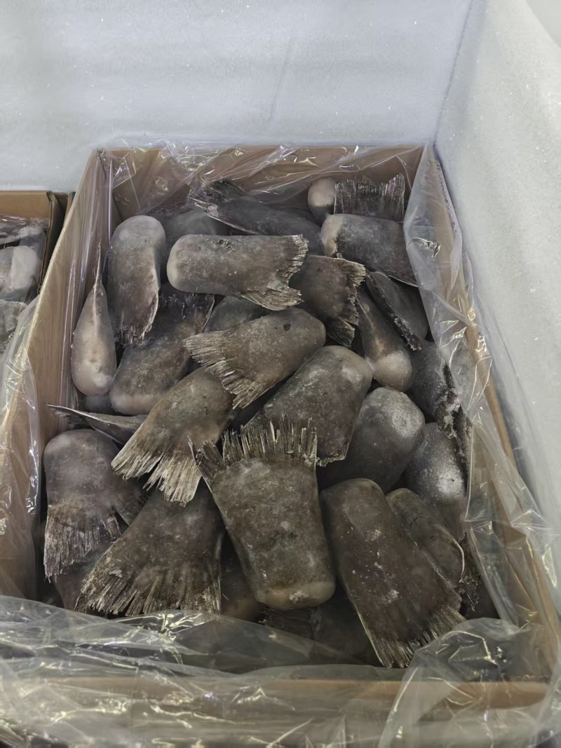 品名：碟鱼尾型号：80+规格：去箱20斤一件。