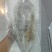 品名：一卤鲜鲅鱼（燕鲅）规格：一件20斤，一件17-18条