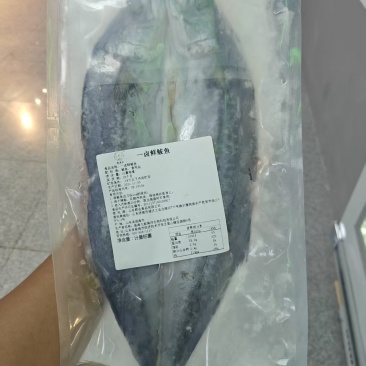 品名：一卤鲜鲅鱼（燕鲅）规格：一件20斤，一件17-18条