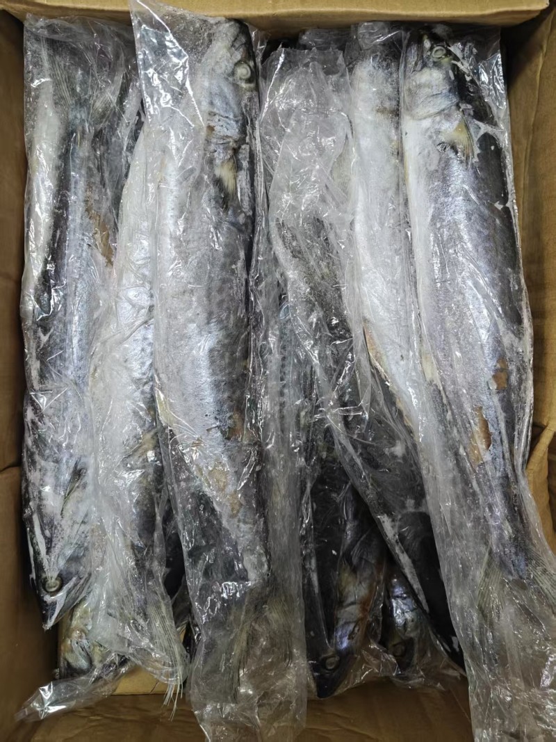 品名：原装鲅鱼（燕鲅）大小规格都有人了！欢迎询价！
