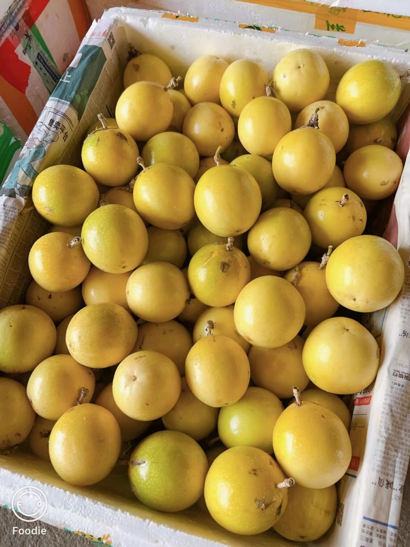黄金百香果