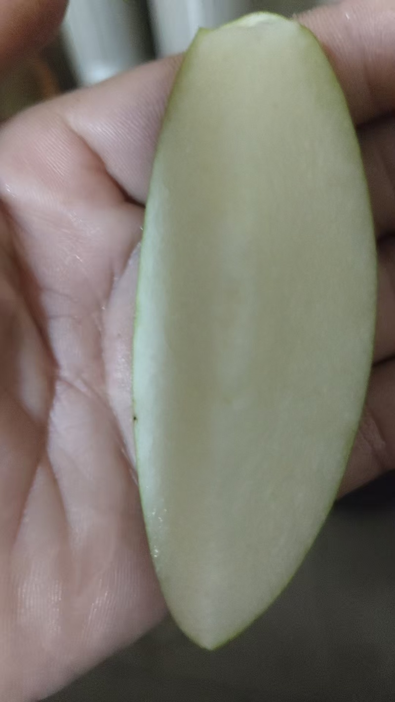 🍐翠冠梨果面干净抹药套袋半斤起