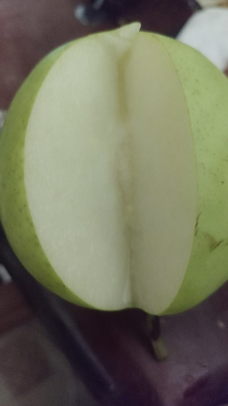 🍐翠冠梨果面干净抹药套袋半斤起