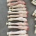 乳牛蹄50斤一袋一个1斤左右