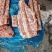 母猪带肉脊骨，7吨